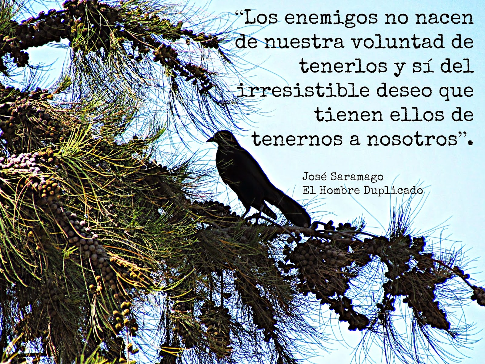 libro el hombre duplicado jose saramago